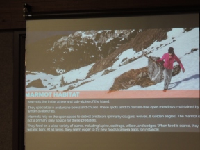 "Vancouver Island Marmot Recovery" with Adam Taylor.